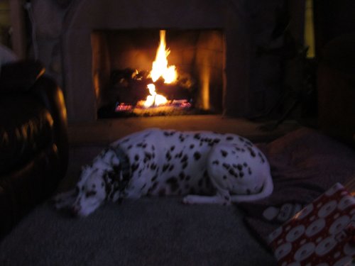 Lucky by the fire